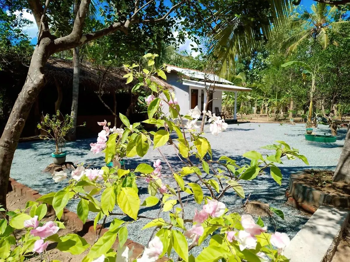 Nirwana Resort Habarana 0*,