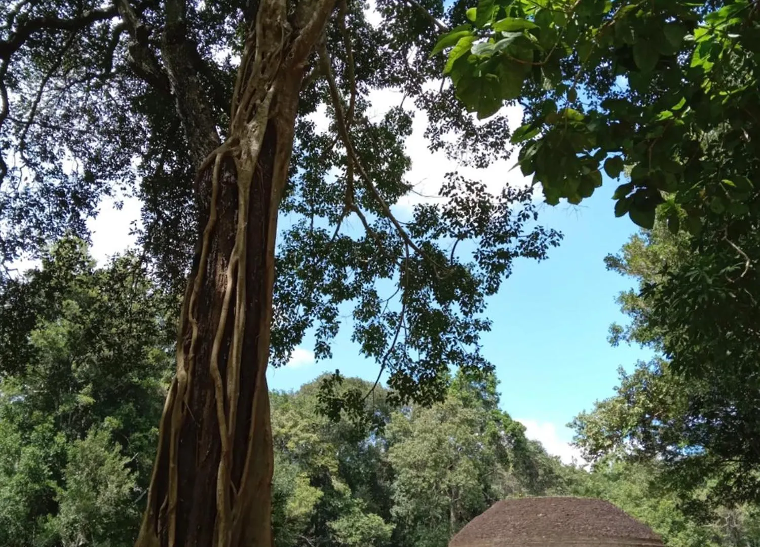 Nirwana Resort Habarana