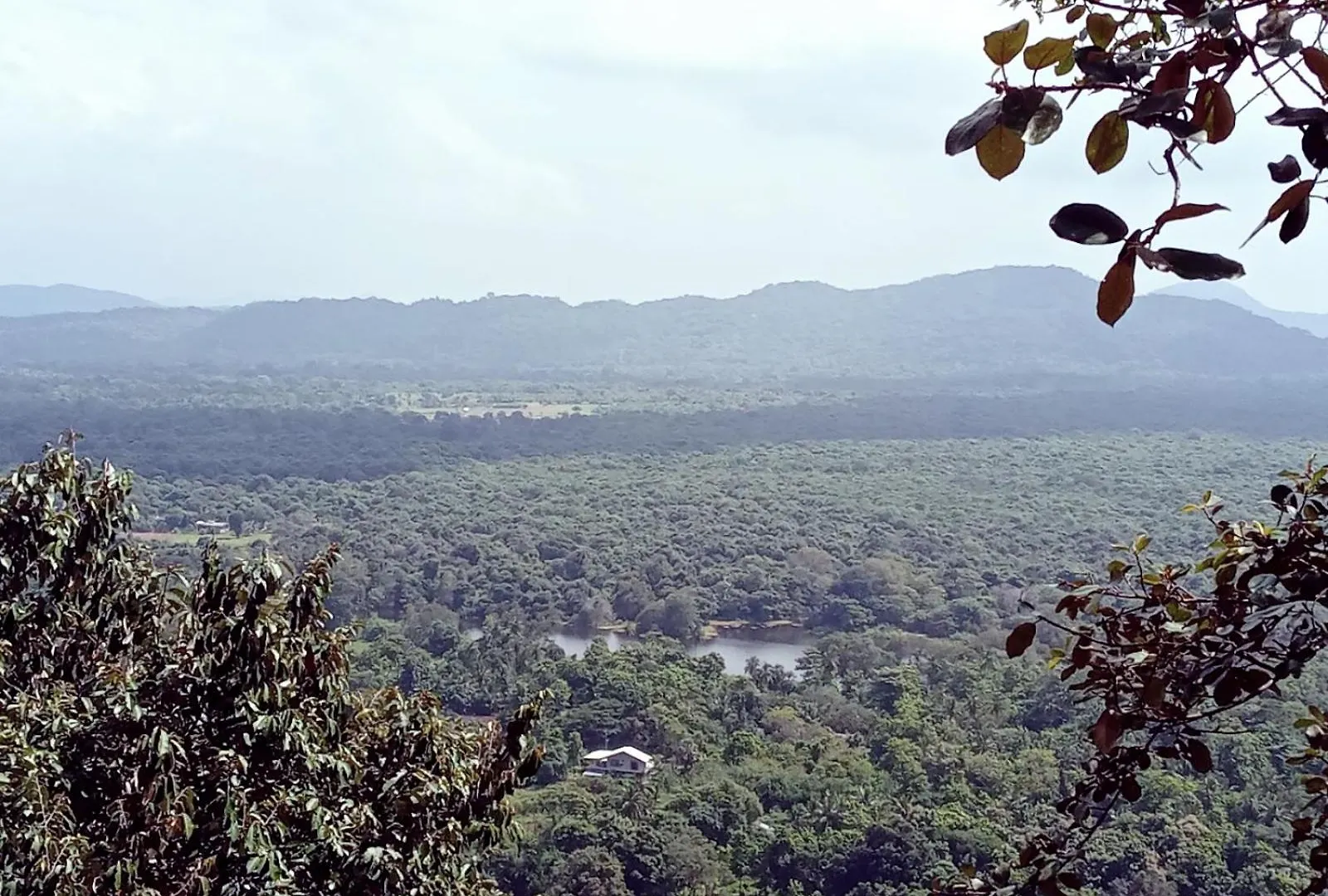Nirwana Resort Habarana