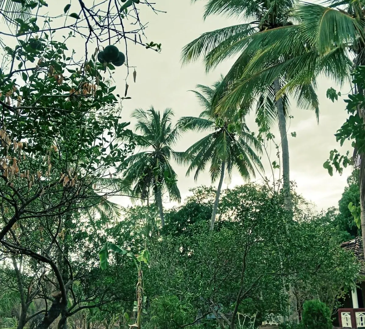 Nirwana Resort Habarana Guest house