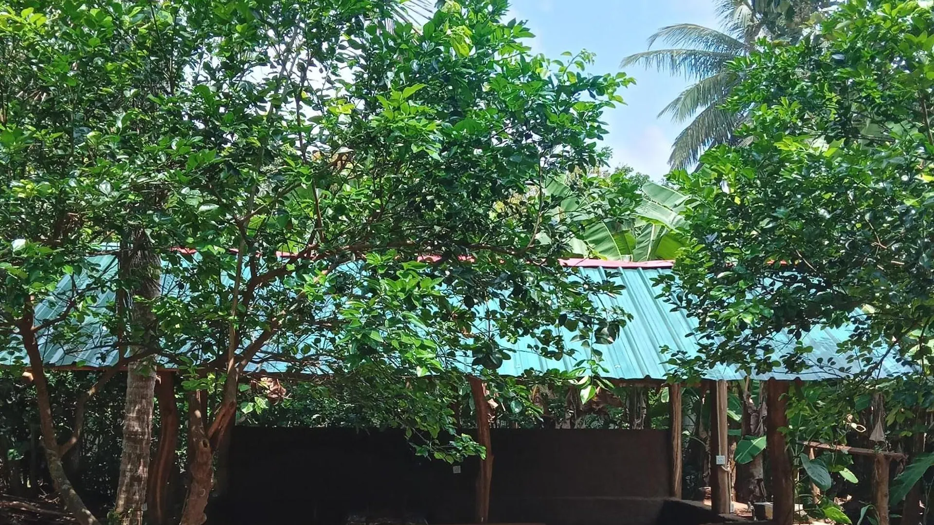 Nirwana Resort Habarana Guest house