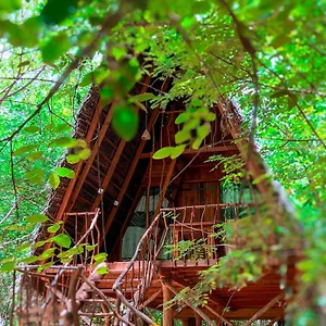 Resort Tree House Ambasewana, Habarana